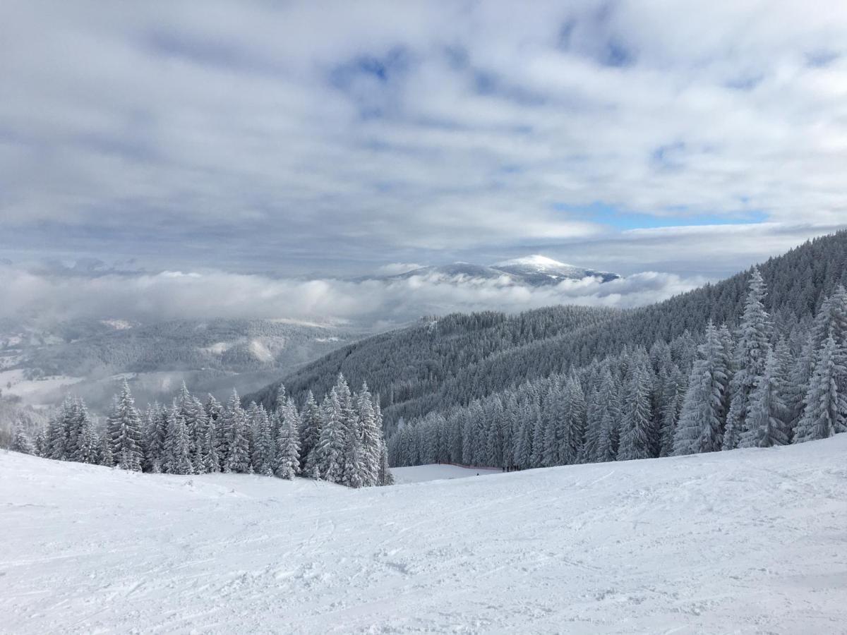 Cerla Korbielow - Domek Dla Dwojga Exteriör bild
